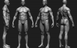 anatomy_8