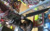 pyramid-head-13-limited-edition-pvc-statue-14