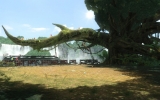 screenshot_281221_thumb_wide940